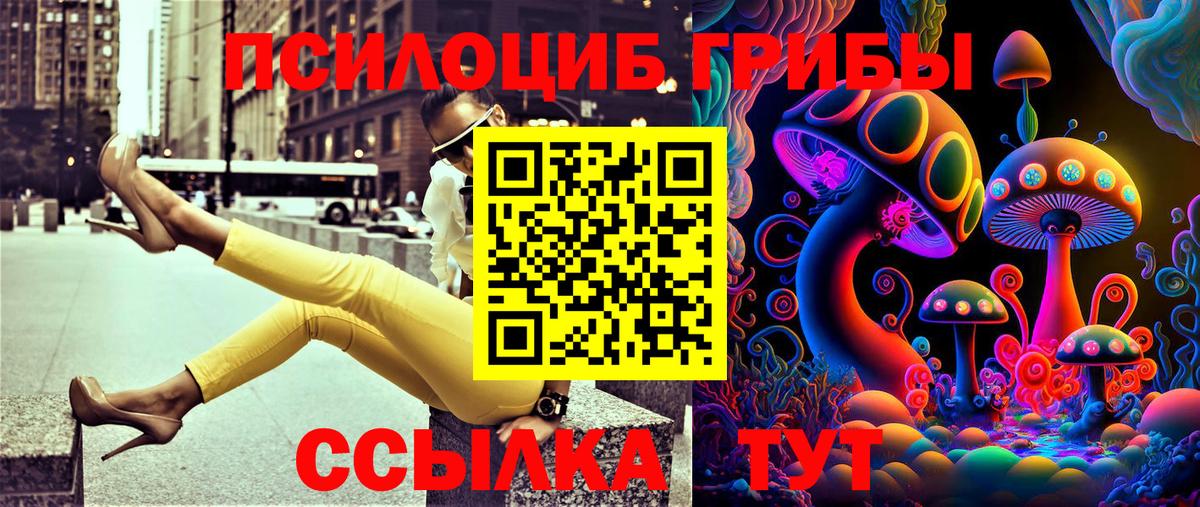 Псилоцибиновые грибы Psilocybe  Вход с VPN  Мариинск 